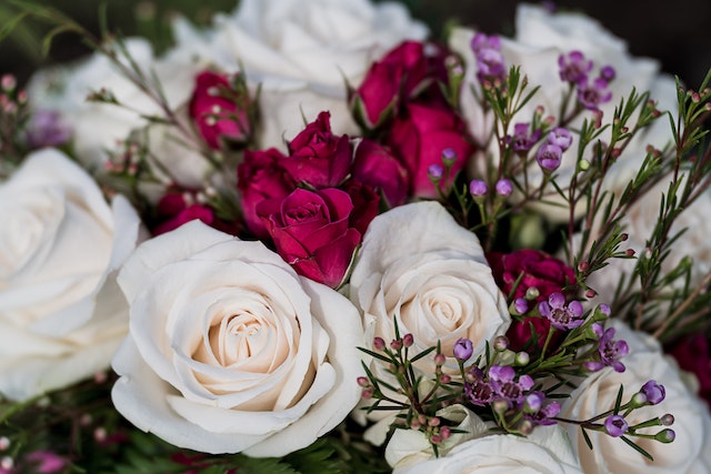 Bouquet de roses à envoyer : la Couleur rouge à privilégier pour ses diverses significations