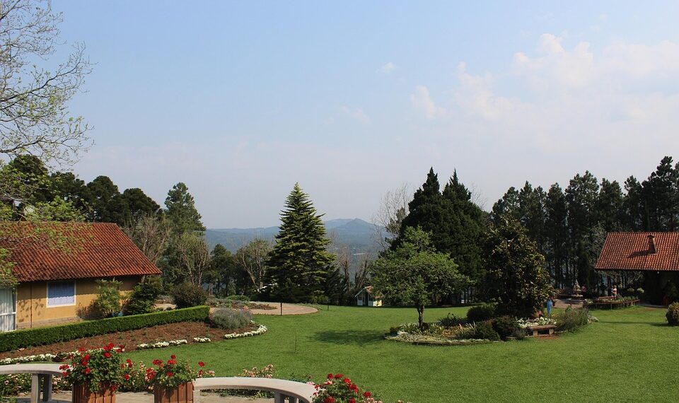 Les avantages d&rsquo;une clôture végétale pour votre jardin