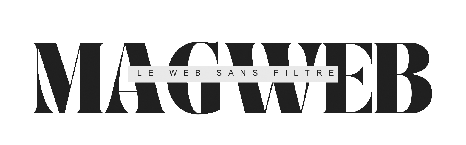 Logo Mag-du-web