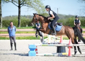 Les nouvelles tendances de l’équitation en 2026