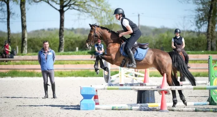 Les nouvelles tendances de l’équitation en 2026