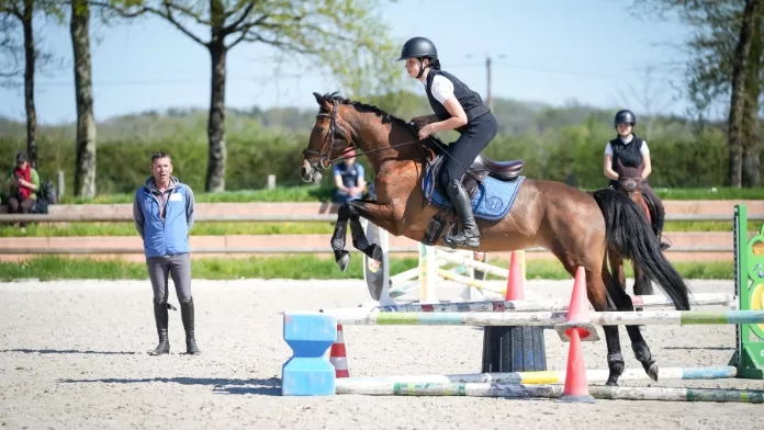 Les nouvelles tendances de l’équitation en 2026